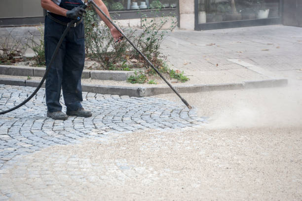Best Dumpster Area Cleaning  in Westland, MI