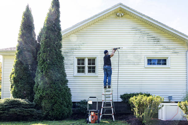 Best Patio and Deck Pressure Washing  in Westland, MI